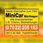 Minicar Nürtingen